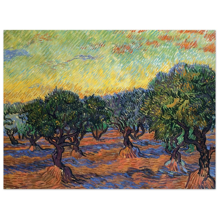 Vincent van Gogh  Olive Grove  Orange Sky Wood Print