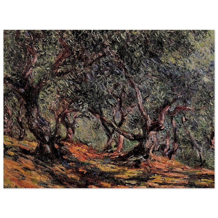 claude monet  Olive Trees in Bordigher Wood Print