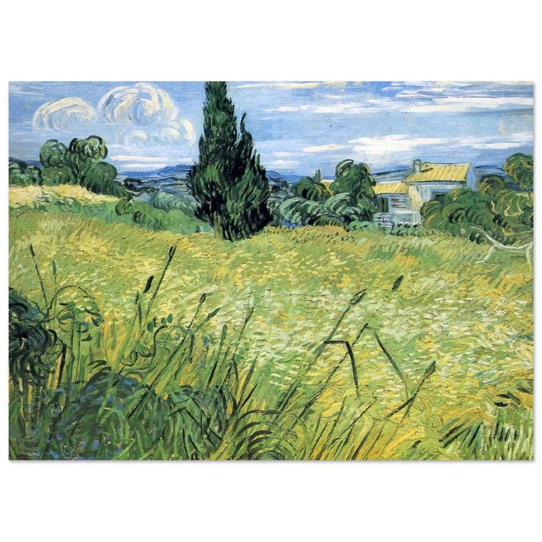 Vincent van Gogh  Green Wheat Field with Cypress Fine Art Poster / Art Print