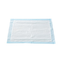 Disposable Underpad McKesson Classic 23 X 36 Inch Fluff Mat Light Absorbency Case / 150 - 1061234 Disposable Underpad McKesson Classic 23 X 36 Inch Fluff Mat Light Absorbency Case / 150 - 1061234