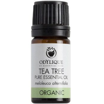 Odylique essensiell olje Tetre er antiseptisk, antifungal og antiviral. Kan blant annet brukes ublandet til forkjølelsessår (herpes labialfis) fotsopp og vorter