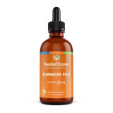 Standard Enzyme Echinacea Plus 4 Oz Liquid