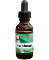 Standard Enzyme Hornbeam Old Bottle