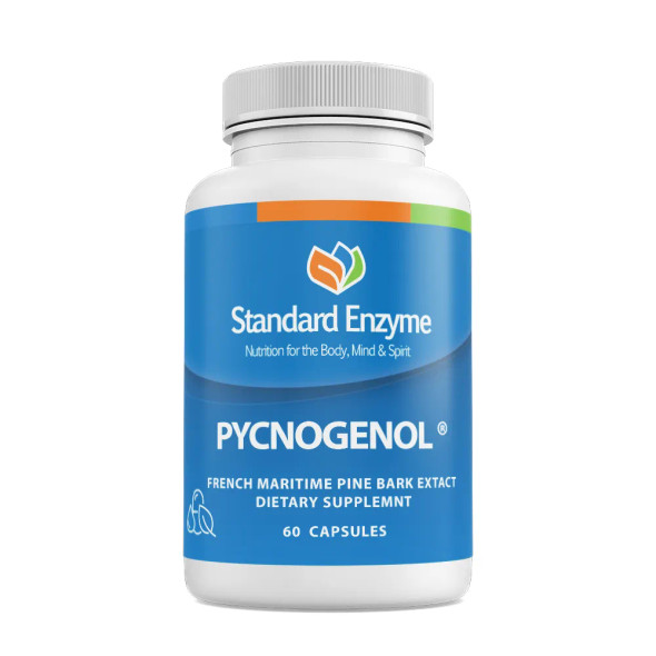 Standard Enzyme Pycnogenol 60 Capsules
