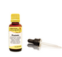 Newton_Labs_Homeopathics_Prostate_1_Oz_Liquid-W-Glass-Dropper