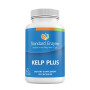 Standard Enzyme Kelp Plus 90 Capsules
