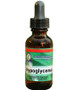 Standard Enzyme Hypoglycemia Old Bottle