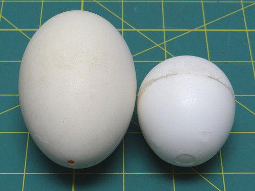 A Pair of Animal Baby Plastic Egg DIY Painted Shell Decoration Craft