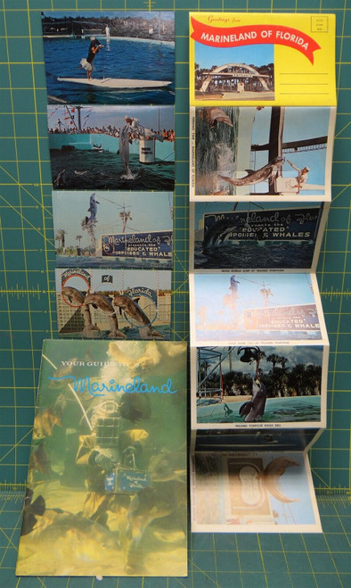 Vintage 1960s Marineland Florida Postcards Park Guide Photo Booklet Marine Life