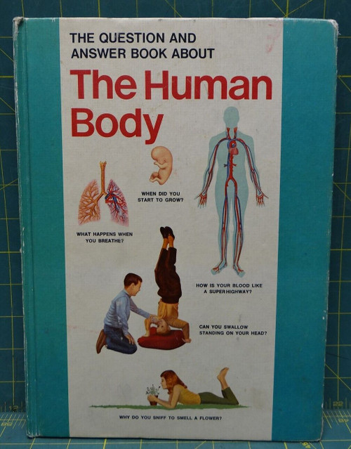 The Question and Answer Book About The Human Body by Ann McGovern 1965 