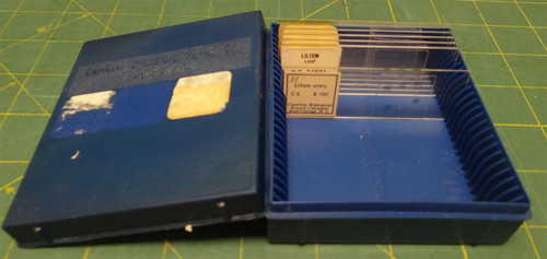 (7 Pack) Misc. Brands Lilium Misc. Prepared Microscope Slides Storage in Box