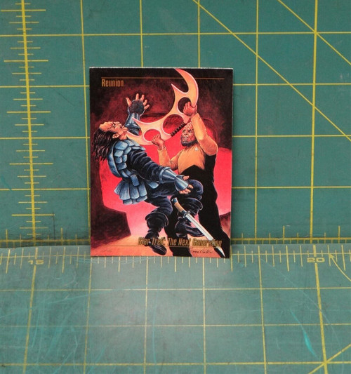 Star Trek Master Series Skybox 1993 Final Frontier #46 Reunion