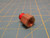 Parker Brass Pipe Adapter 3/8 NPT x 3/8" FNPT 