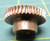 Boston Gears D1120 Bronze Worm Gear 48 DP 20 PA 40 Teeth RH Bronze