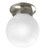 Progress Lighting P3401-09 Brushed Nickel 1 Bulb Alabaster Globe Ceiling Fixture