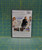 I Now Pronounce You Chuck & Larry (2007) Adam Sandler & Kevin James Comedy DVD