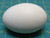 A Pair of Animal Baby Plastic Egg DIY Painted Shell Decoration Craft