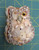 Real Natural Seashell Shell Jewelry Trinket Box Owl Design Handmade Philippines