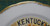 Wall Hanging "Kentucky The Blue Grass State" Commemorative Collectors Plate 8"D