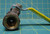 Apollo C11 1/2" Brass Inline Ball Valve 600 WOG, Attached Fitting