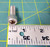 Screw Cap w/Socket Head P/N 008252394 - LOT OF 5