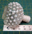 White and Clear 5" Art Glass Bottle Hobnail with White Dots, Milk Glass, Fenton