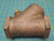 NIBCO NL7E00D Bronze Horizontal Swing Check Valve 2" x 2" 