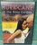 Hurricane in the Rose Garden DVD 2009 Pascal Atuma, Yun Choi Unrated