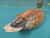 Decorative Mallard Duck Decoy 16" 