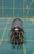 ITT 6AU6 Power Audio Vacuum Electronic Tube L20 1109