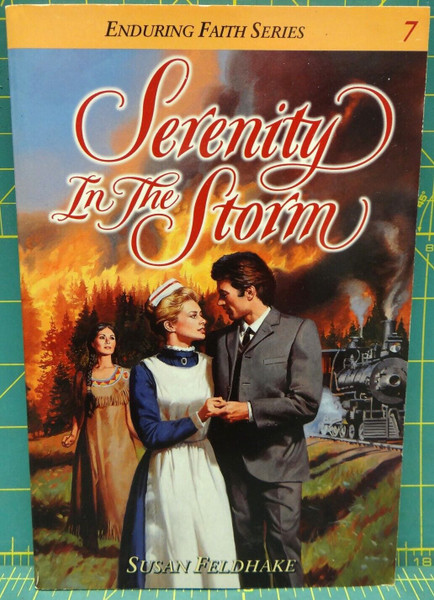 Serenity in the Storm Susan C. Feldhake Enduring Faith Book 7 Paperback