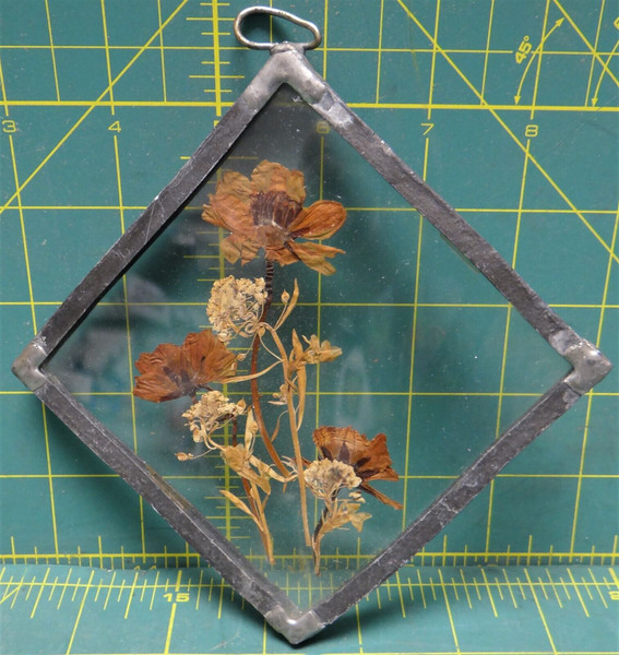 Herbarium Art Pressed Mum Flowers Hand Made Original Art Work Square Shape