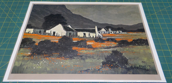 Mel Brigg Spring Morning Clanwilliam Plate I Print Reproduction - 20 x 14.5 In