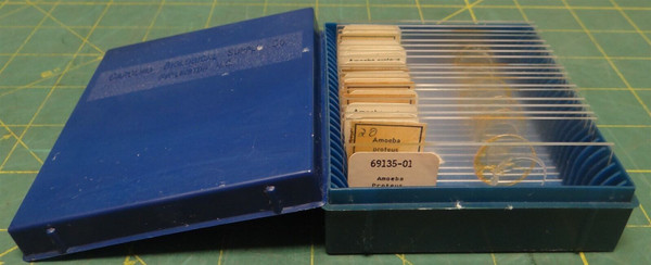(19 Pack) Misc. Brands Ameoba Proteus Prepared Microscope Slides in Storage Box
