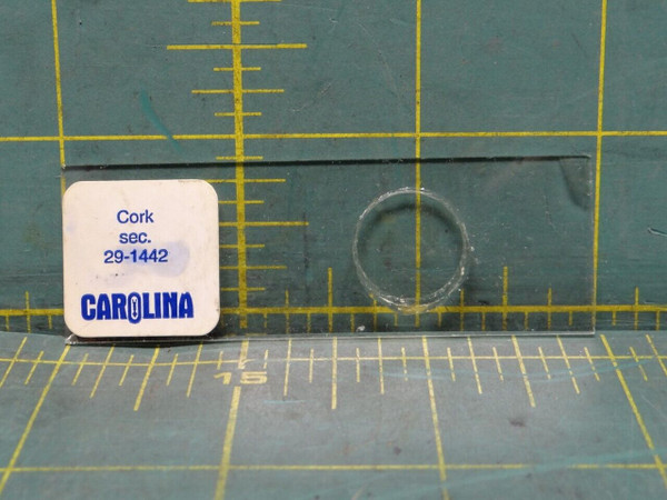 Carolina Biological Supply Co. Cork, sec., 20 µ Microscope Slide