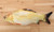 Cat toy;  imitation fish toy;  pet;  plush cat;  mint fish;  cat;  carp toy