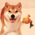 Dog Rope Toys For Grinding And Cleaning Teeth