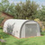 Outsunny 19.5' x 10' x 6.5' Walk-in Tunnel Greenhouse with Upgraded Structure, Zippered Roll Up Mes