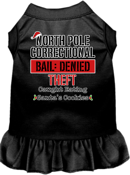 North Pole Correctional Screen Print Dog Dress Black Size 4X