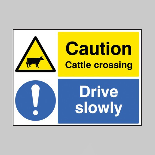 Cattle crossing Drive slowly - Safety Sign