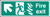 Fire exit - arrow up left HTM - Safety Sign