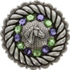 Tanzanite & Peridot Antique Silver Horse Head Rhinestone Concho