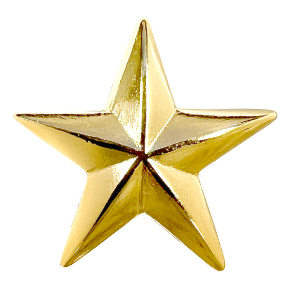 BS9229 GP 1" Bright Gold Star Concho Screw back