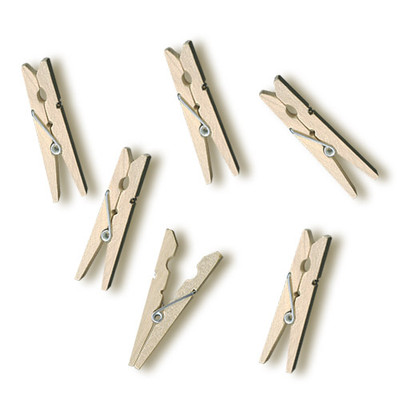 Medium Spring Clothes Pins