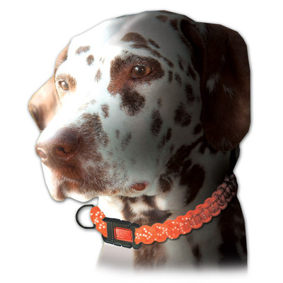 Parachute Cord Craft Reflective Dog Collar Kit Parachute Cord Craft Reflective Dog Collar Kit