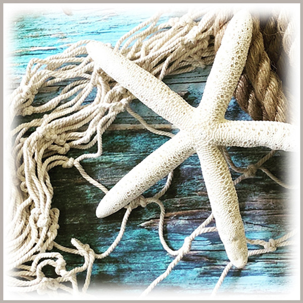 6 inch Star Fish - 2 pack for Home Decor