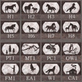 Additional Rustic Designs- Horses, cabin, fishing, wolf, eagle and more