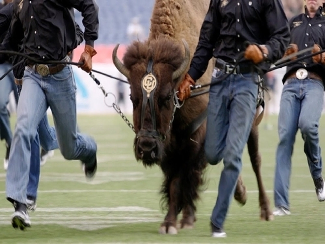 The Best Entrances in College Football