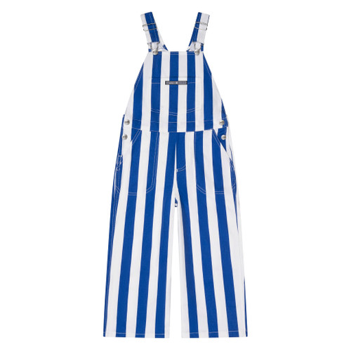 Royal Blue & White Toddler Game Bibs