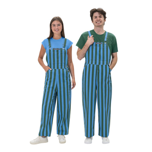 Green & Light Blue Adult Game Bibs